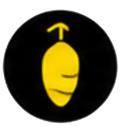 蛹